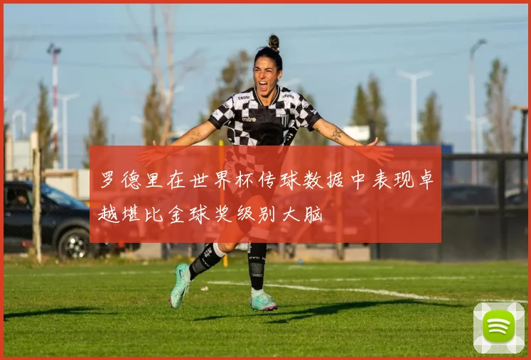 罗德里在世界杯传球数据中表现卓越堪比金球奖级别大脑